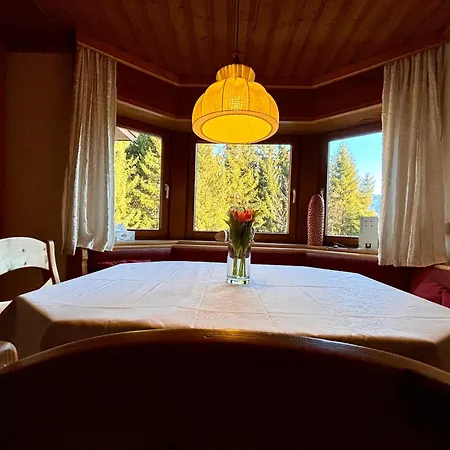 Fink, Haus Martin Lägenhet *